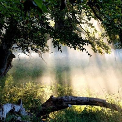 云开·全站APP截图