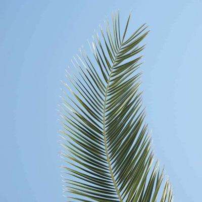 九游会存款优惠