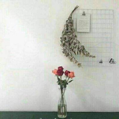 Kaiyun(云开)体育App