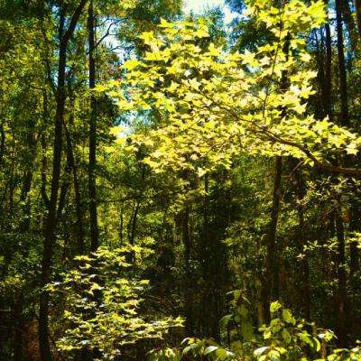 beat365中国在线体育截图