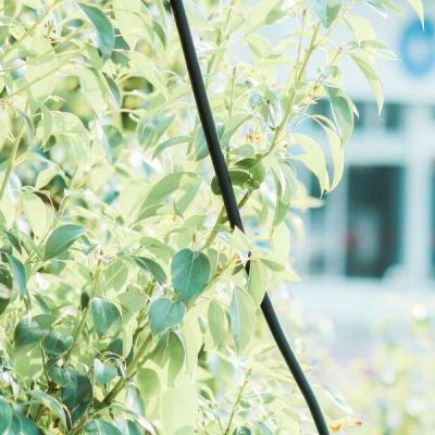 beat365下载手机版